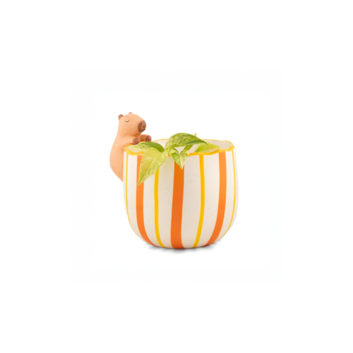 Pot peeking Capybara