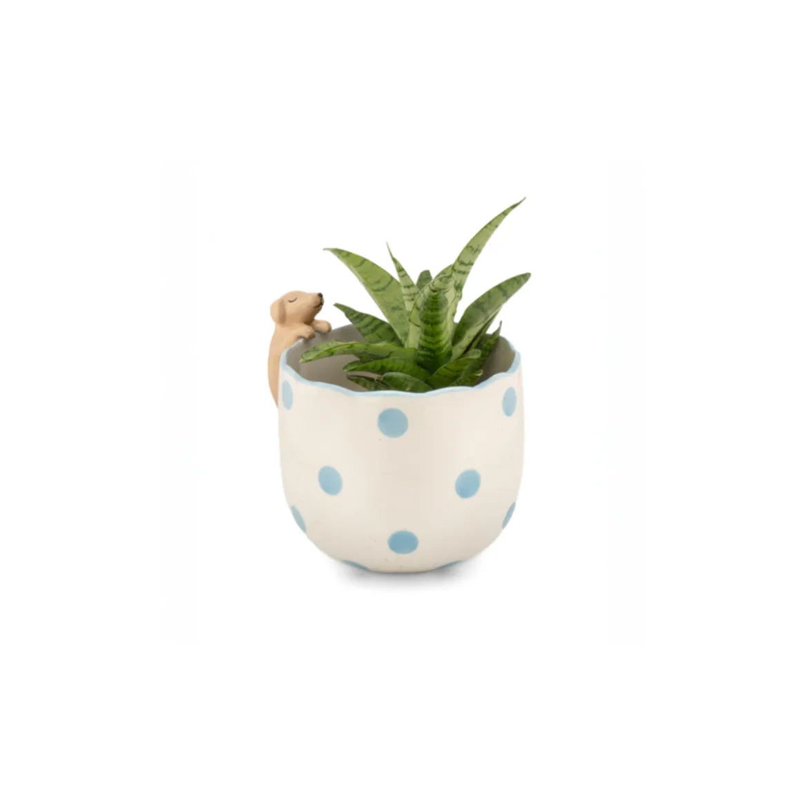 Pot peeking Dog