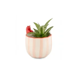 Pot peeking Lobster