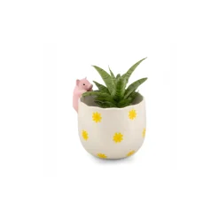 Pot peeking Pig