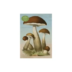 Puzzle John Derian - Mushrooms