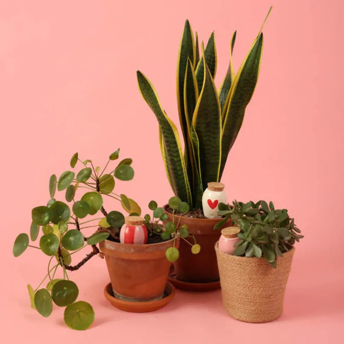 Trio Mini Ollas Diffuseurs d'eau - Les lovers