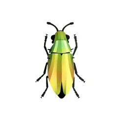 Trophée Origami Coléoptère Mango Vert