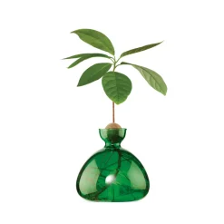 Vase en verre pour avocat