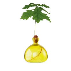 Vase en verre pour gland