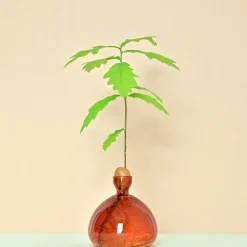 Vase en verre pour gland