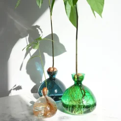 Vase en verre pour gland Cosmic