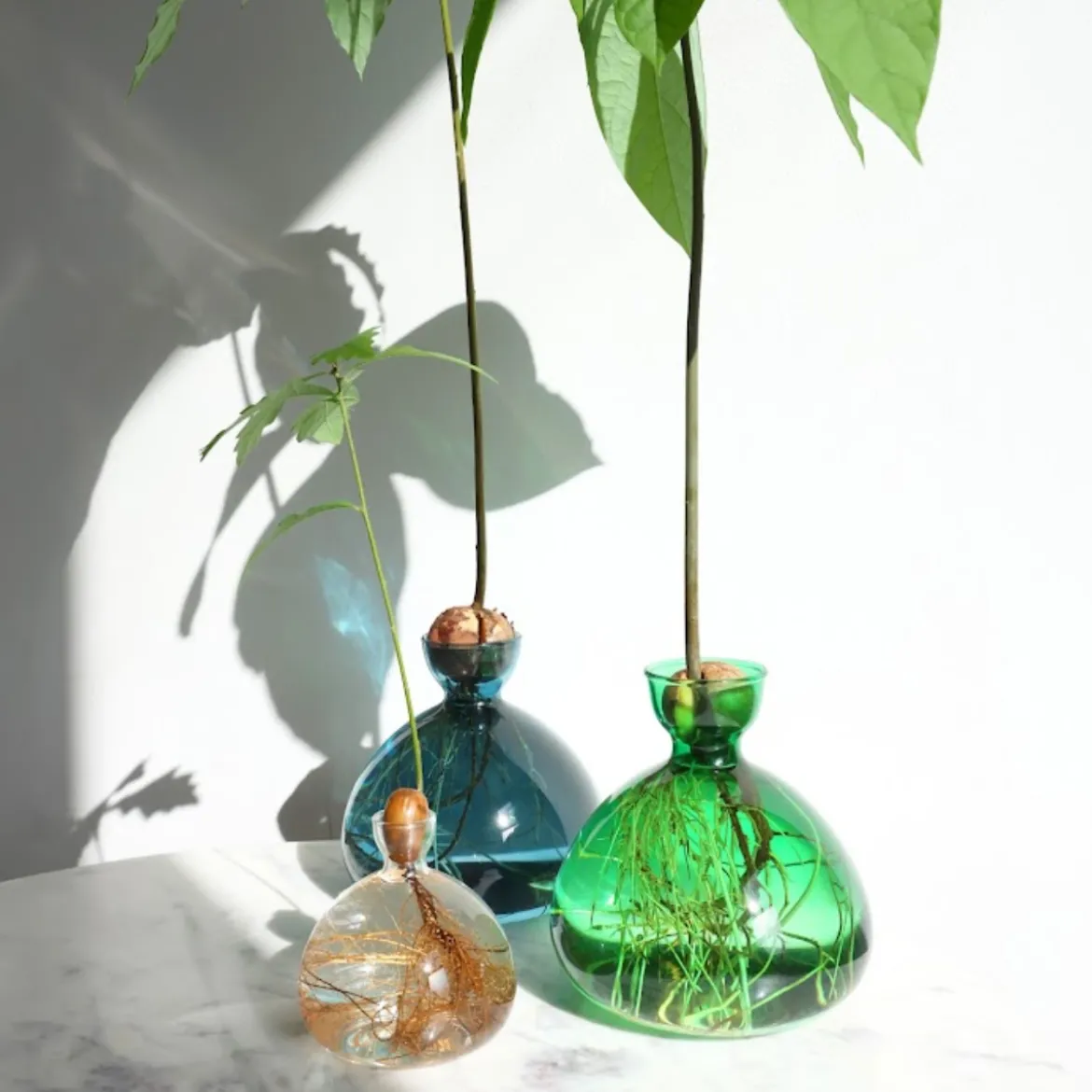 Vase en verre pour gland Cosmic