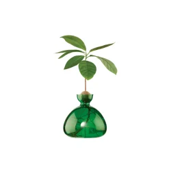 Vase en verre pour gland Cosmic