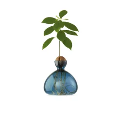 Vase en verre pour gland Cosmic