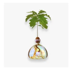 Vase en verre pour gland Cosmic