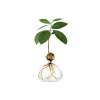 Vase en verre pour gland Transparent