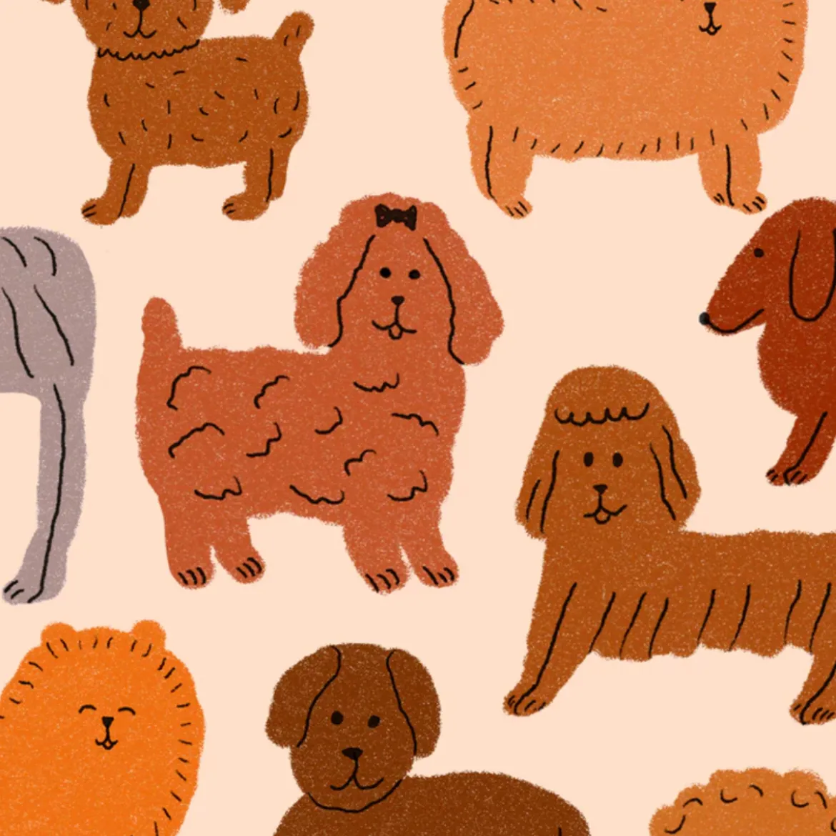Éventail Puppies