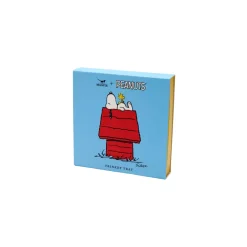 Vide Poche Peanuts - House